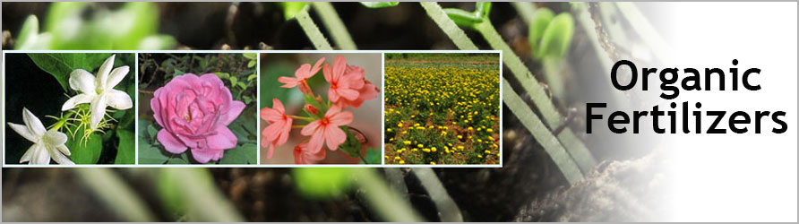 Organic Fertilizers