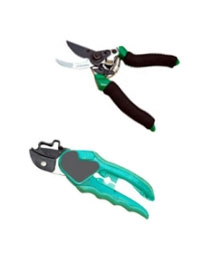 Cut & Hold Model